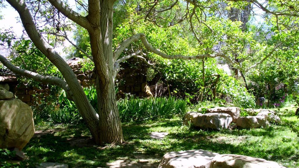 מלון טיליקארה La Casa Del Indio מראה חיצוני תמונה
